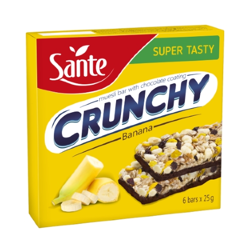 Banana chips business plan executive summary picture